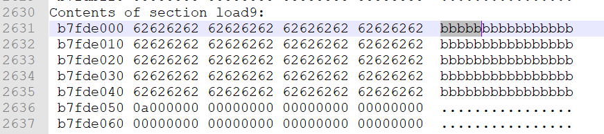 Duplicated Shellcode