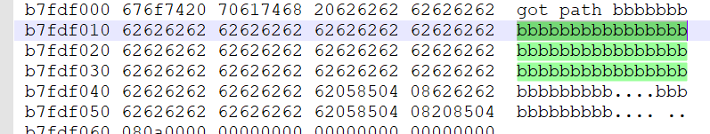 Duplicated Shellcode2